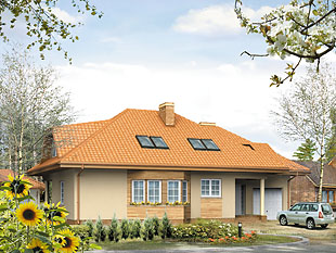 Projekt domu Delta