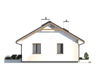 Elewacja 1 projektu domu Imbir 4