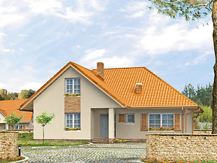 Projekt domu Wiking 3